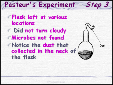 Pasteur's Experiment - Step 3