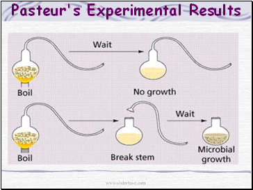 Pasteur's Experimental Results