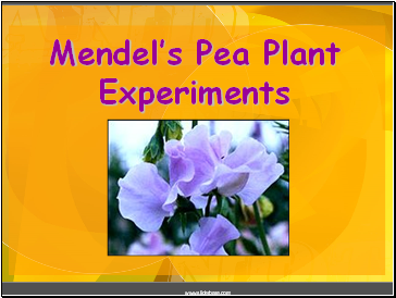 Mendels Pea Plant Experiments