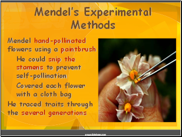 Mendels Experimental Methods