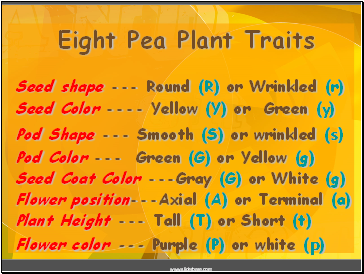 Eight Pea Plant Traits