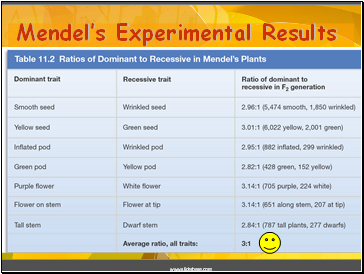 Mendels Experimental Results