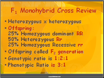 F1 Monohybrid Cross Review