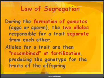 Law of Segregation