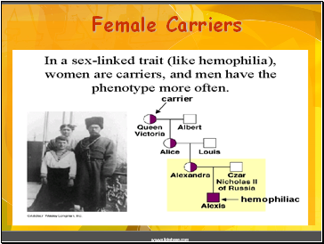 Female Carriers