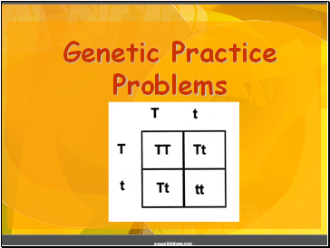 Genetic Practice Problems