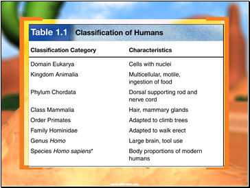Hierarchy-Taxonomic Groups 