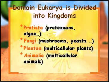 Domain Eukarya is Divided into Kingdoms