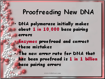 Proofreading New DNA
