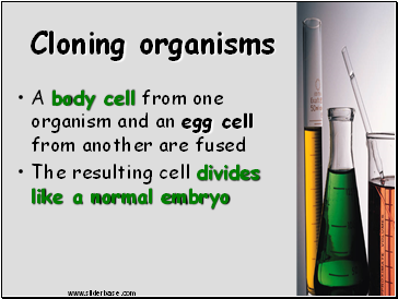 Cloning organisms