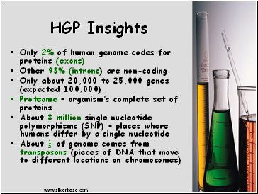 HGP Insights