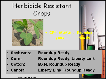 herbicide crops resistant