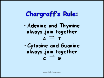 Chargraffs Rule: