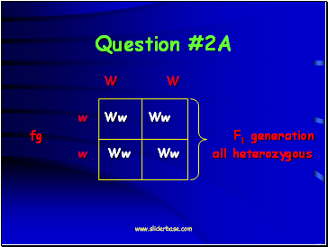 Question #2A