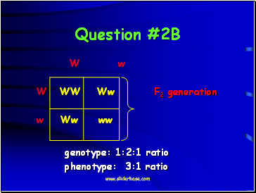 Question #2B