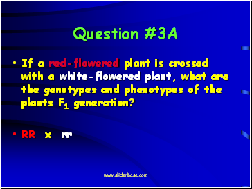 Question #3A