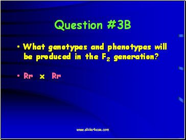 Question #3B