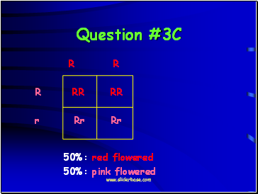 Question #3C