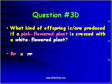 Question #3D