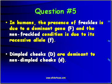 Question #5