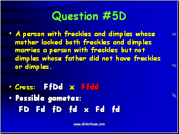 Question #5D