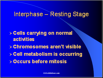 Interphase  Resting Stage