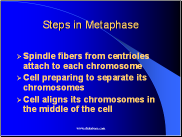Steps in Metaphase