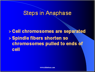 Steps in Anaphase