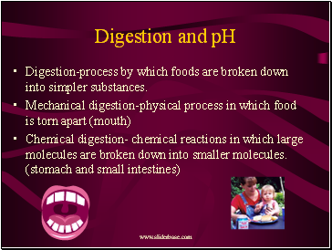 Digestion and pH