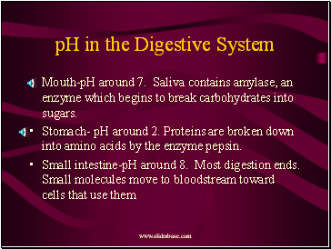 pH in the Digestive System