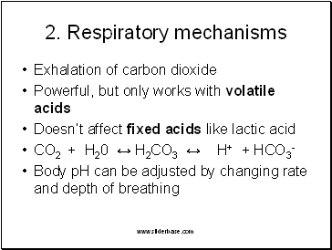 2. Respiratory mechanisms