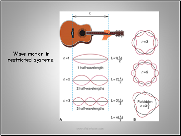 Wave motion in restricted systems.