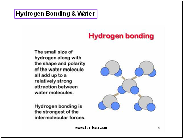 Hydrogen Bonding & Water