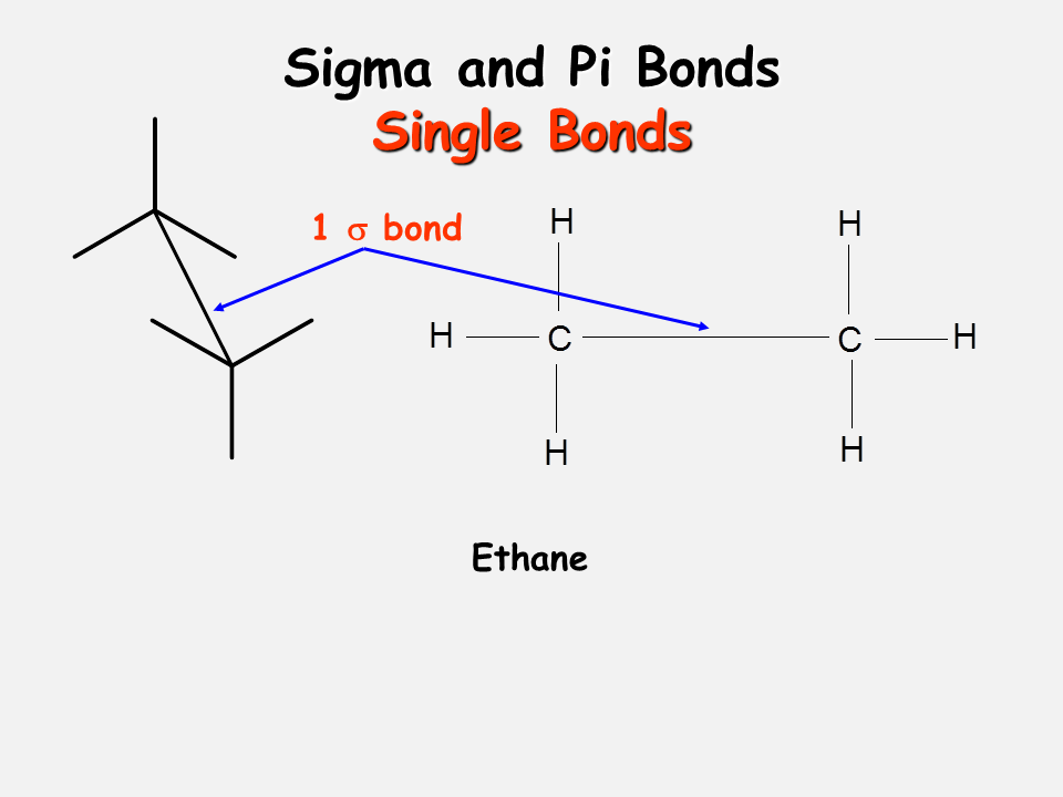 Whats the difference between sigma bonds and pi bonds 