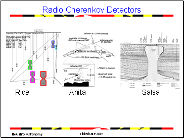Radio Cherenkov Detectors Rice Anita Salsa