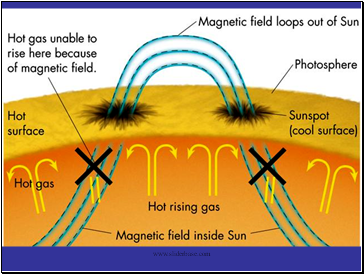 Sunspots & Magnetic Fields