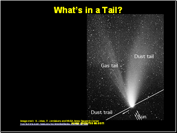 Whats in a Tail?