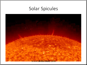 Solar Spicules