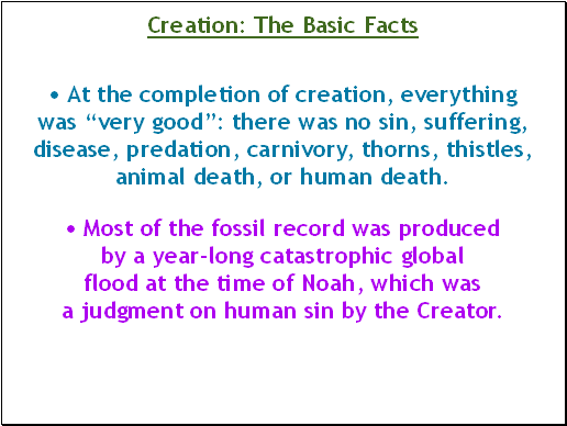 At the completion of creation, everything was very good: there was no sin, suffering, disease, predation, carnivory, thorns, thistles, animal death, or human death