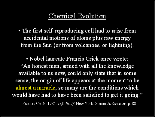 Chemical Evolu