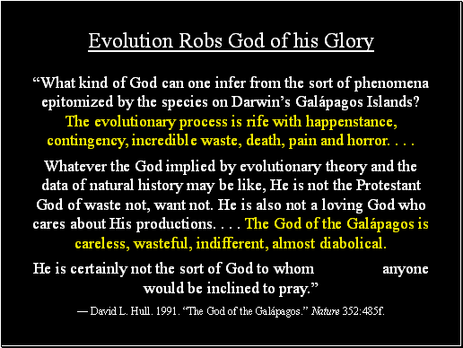 Evolution Robs God of his Glory
