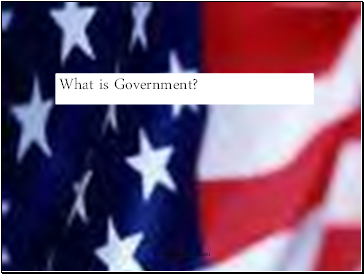 What is government