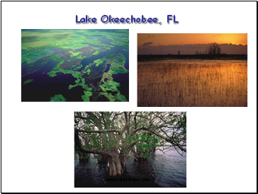 Lake Okeechobee, FL