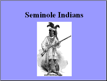 Seminole Indians  Who Are They Where Are They From