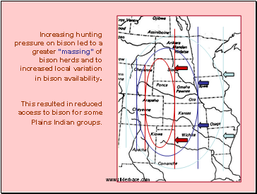 Increasing hunting pressure on bison led to a greater massing of bison herds and to increased local variation in bison availability.