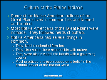 Culture of the Plains Indians