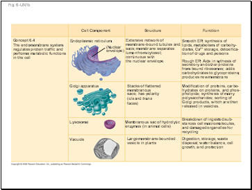 Fig. 6-UN1b