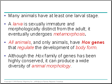 Many animals have at least one larval stage.