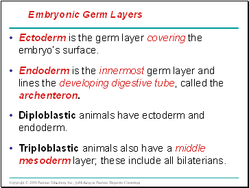 Ectoderm is the germ layer covering the embryos surface.