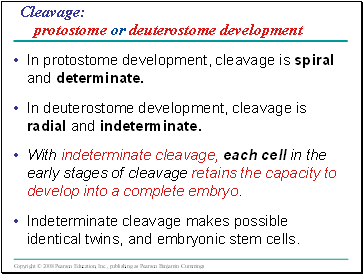 Cleavage: protostome or deuterostome development